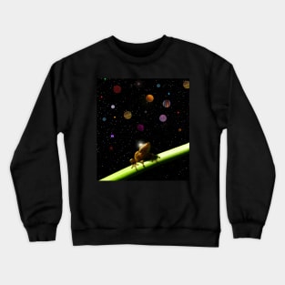 Wondering Crewneck Sweatshirt